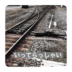[LINEスタンプ] 日常写真スタンプ