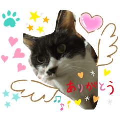 [LINEスタンプ] 小梅とモモとでんちゃん2