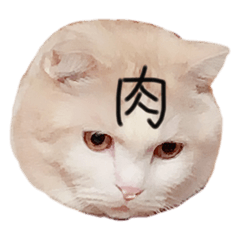 [LINEスタンプ] ぼく？いっちゃんだけど。