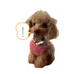 [LINEスタンプ] tiara1201