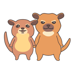 [LINEスタンプ] ぶーちゃんねるのキンカジュー
