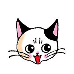 [LINEスタンプ] 黒ブチにゃん 