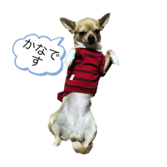 [LINEスタンプ] かなちゃんシリーズ2