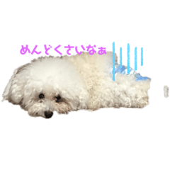 [LINEスタンプ] nara fami