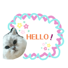 [LINEスタンプ] チャチャ氏のスタンプ