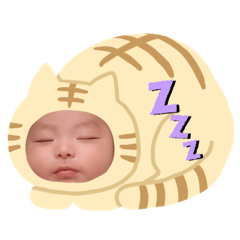 [LINEスタンプ] りきさん2