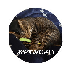 [LINEスタンプ] hmkl01tenten