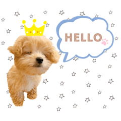 [LINEスタンプ] ほしまるだしっ