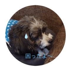 [LINEスタンプ] ふうちゃんとみんな