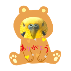 [LINEスタンプ] インコスタグラム
