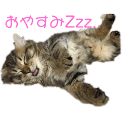 [LINEスタンプ] じるのスタンプ