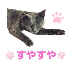 [LINEスタンプ] Ririの にちじょう。