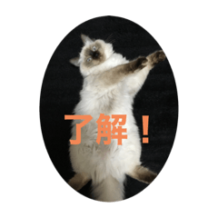 [LINEスタンプ] くうたん、