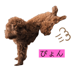 [LINEスタンプ] ゆたか'sスタンプ