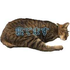 [LINEスタンプ] 天スタンプいち