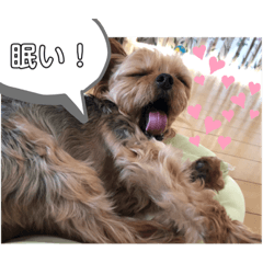 [LINEスタンプ] Jiji！！