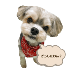[LINEスタンプ] ろーるのいる生活