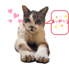 [LINEスタンプ] 福岡家スタンプ3