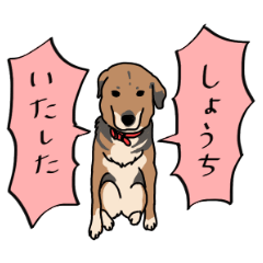 [LINEスタンプ] 犬の日常スタンプ リニューアル