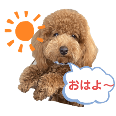 [LINEスタンプ] のだもこスタンプ3