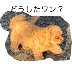 [LINEスタンプ] やっくんのララスタンプ