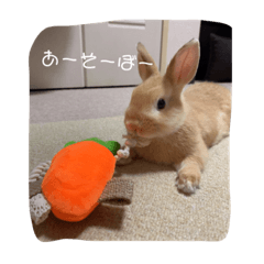 [LINEスタンプ] ネザーのみみちゃん