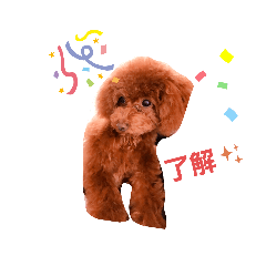 [LINEスタンプ] UGGのお言葉