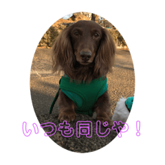 [LINEスタンプ] ムックの呟き