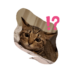 [LINEスタンプ] むぎちゃんねる