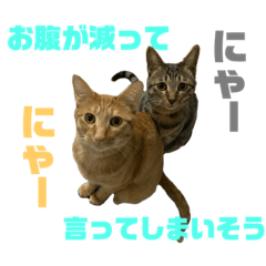 [LINEスタンプ] はれもちすたんぷ①〜たまにおともどち〜