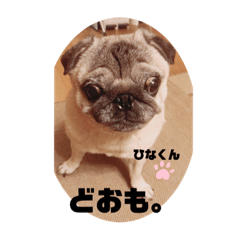 [LINEスタンプ] ひなくんから、ひとこと。