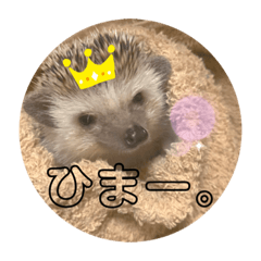 [LINEスタンプ] ハリ山トゲ子