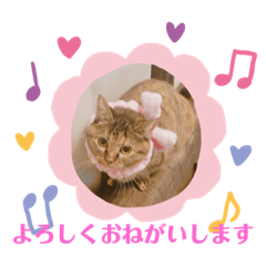[LINEスタンプ] おはちゃん1