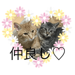 [LINEスタンプ] しんご♡フク