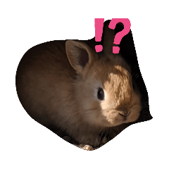 [LINEスタンプ] ウザギのスタンプ