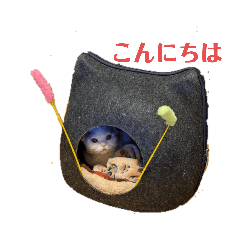 [LINEスタンプ] ちびタン日記