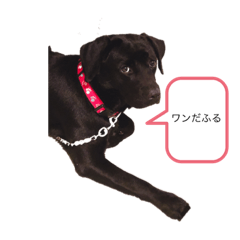 [LINEスタンプ] M吉田のスタンプ