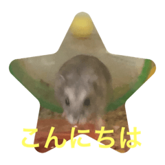 [LINEスタンプ] サファイアブルーのいちご