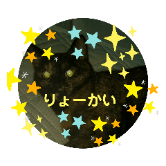 [LINEスタンプ] momo vol.1