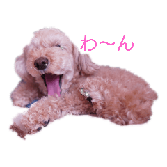 [LINEスタンプ] MARONlovely