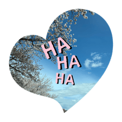 [LINEスタンプ] 私の写真で挨拶スタンプ