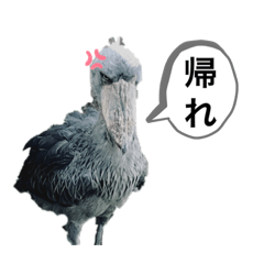 [LINEスタンプ] はしびろこうの一言