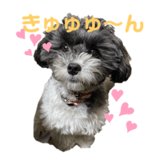 [LINEスタンプ] てつの気持ち