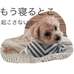 [LINEスタンプ] マイdogスタンプ