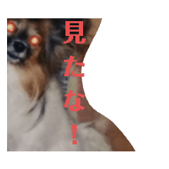 [LINEスタンプ] チャムネ 2