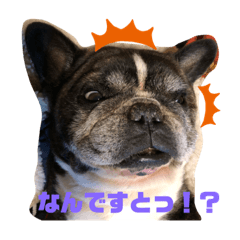 [LINEスタンプ] 歌丸