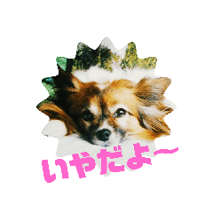 [LINEスタンプ] チャムネ 1