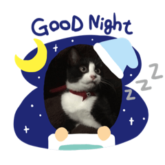 [LINEスタンプ] Mi chan cute