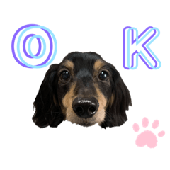 [LINEスタンプ] てんくろてん