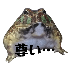 [LINEスタンプ] オタクな爬虫類たち（1）